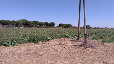 Foto 2 von Residential zum Verkauf in Monteolivete - Camino Sevilla, Sanlúcar de Barrameda
