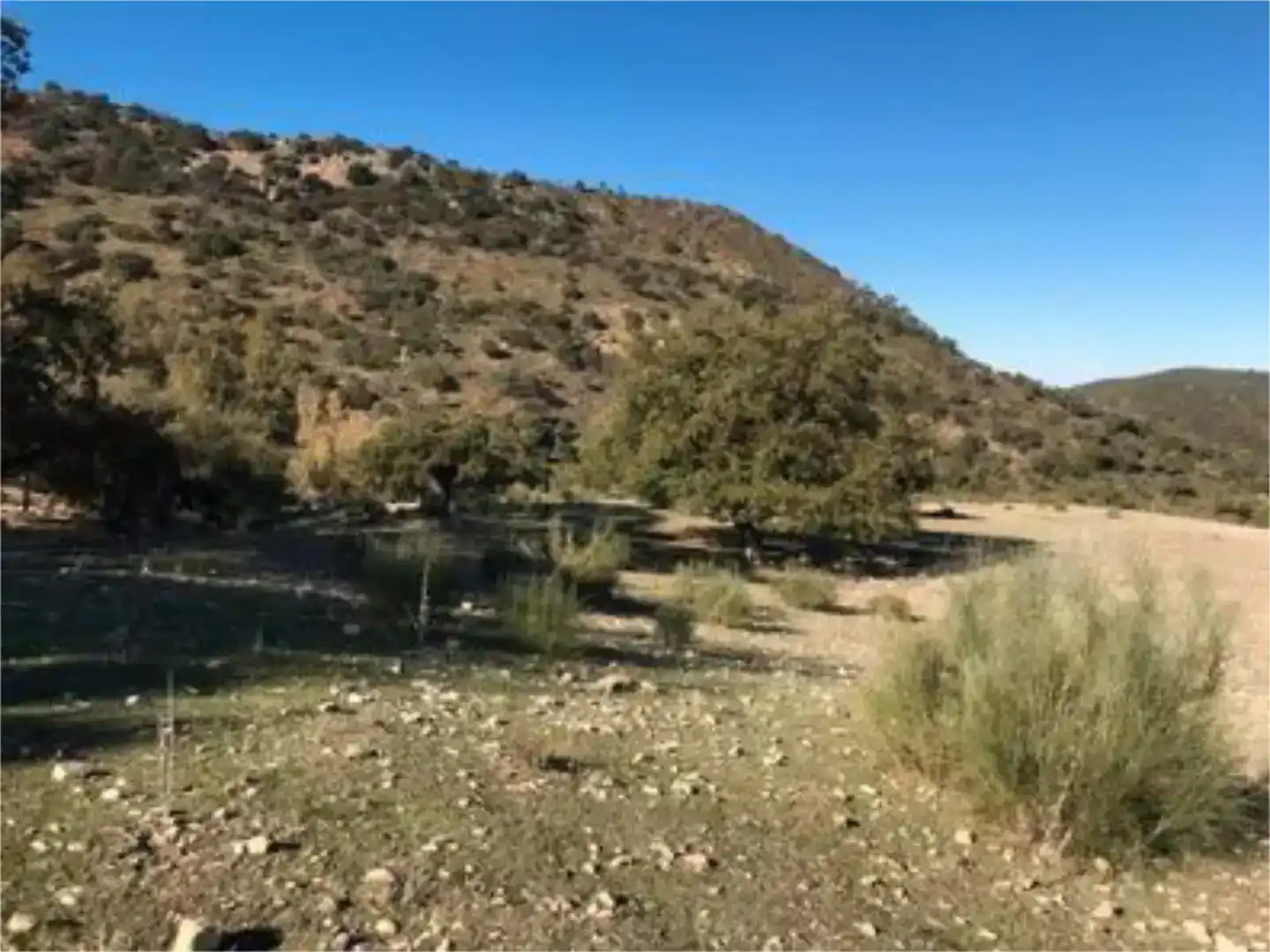 Finca rústica en venda en Algodonales