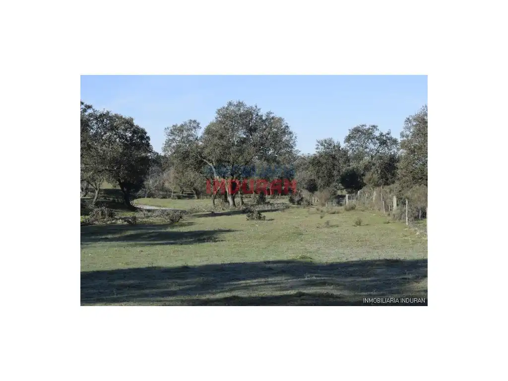Finca rústica en venta en Las Ventas de San Julián