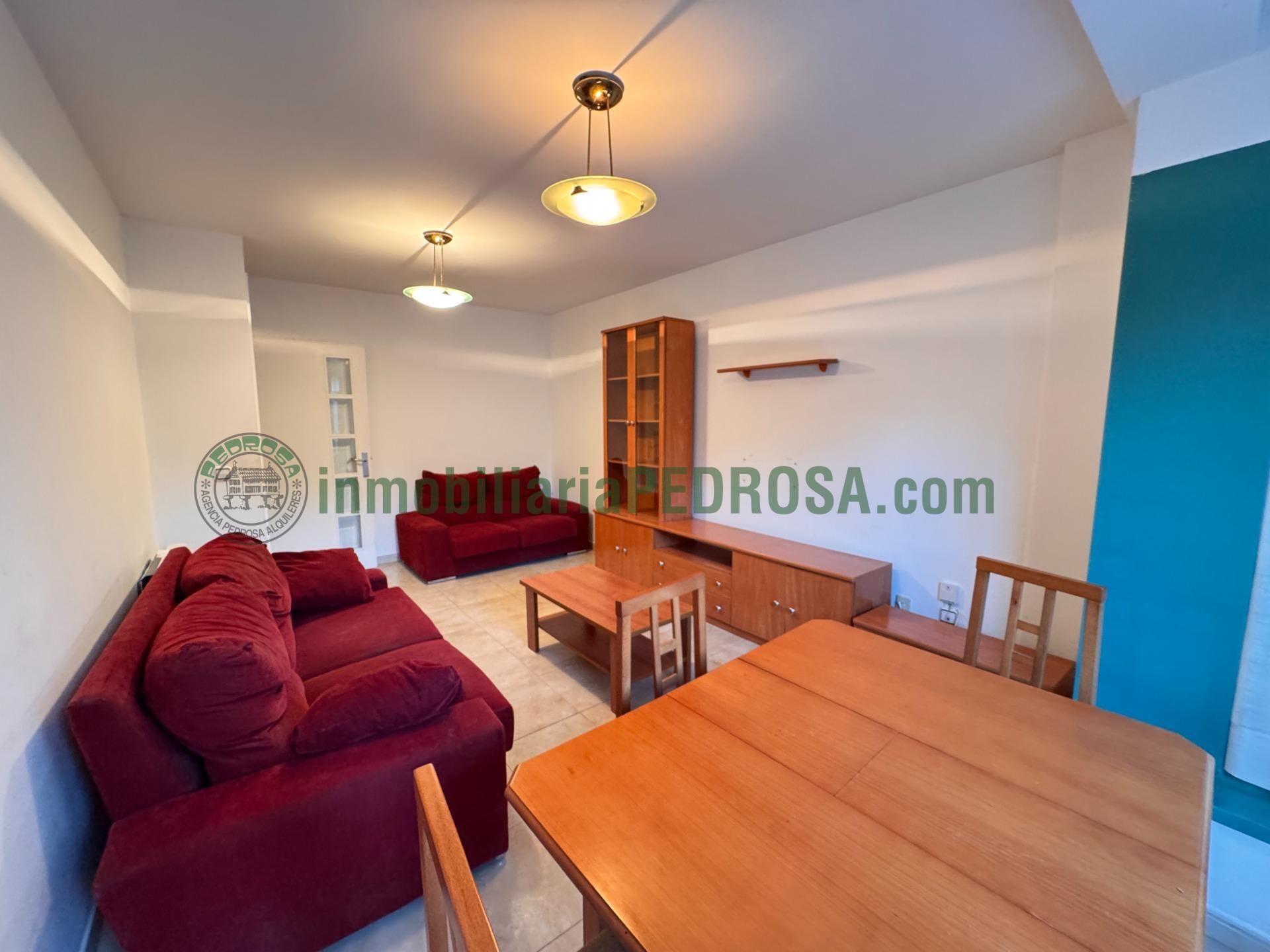 Sala d'estar de Apartament en venda en Pontevedra Capital  amb Calefacció