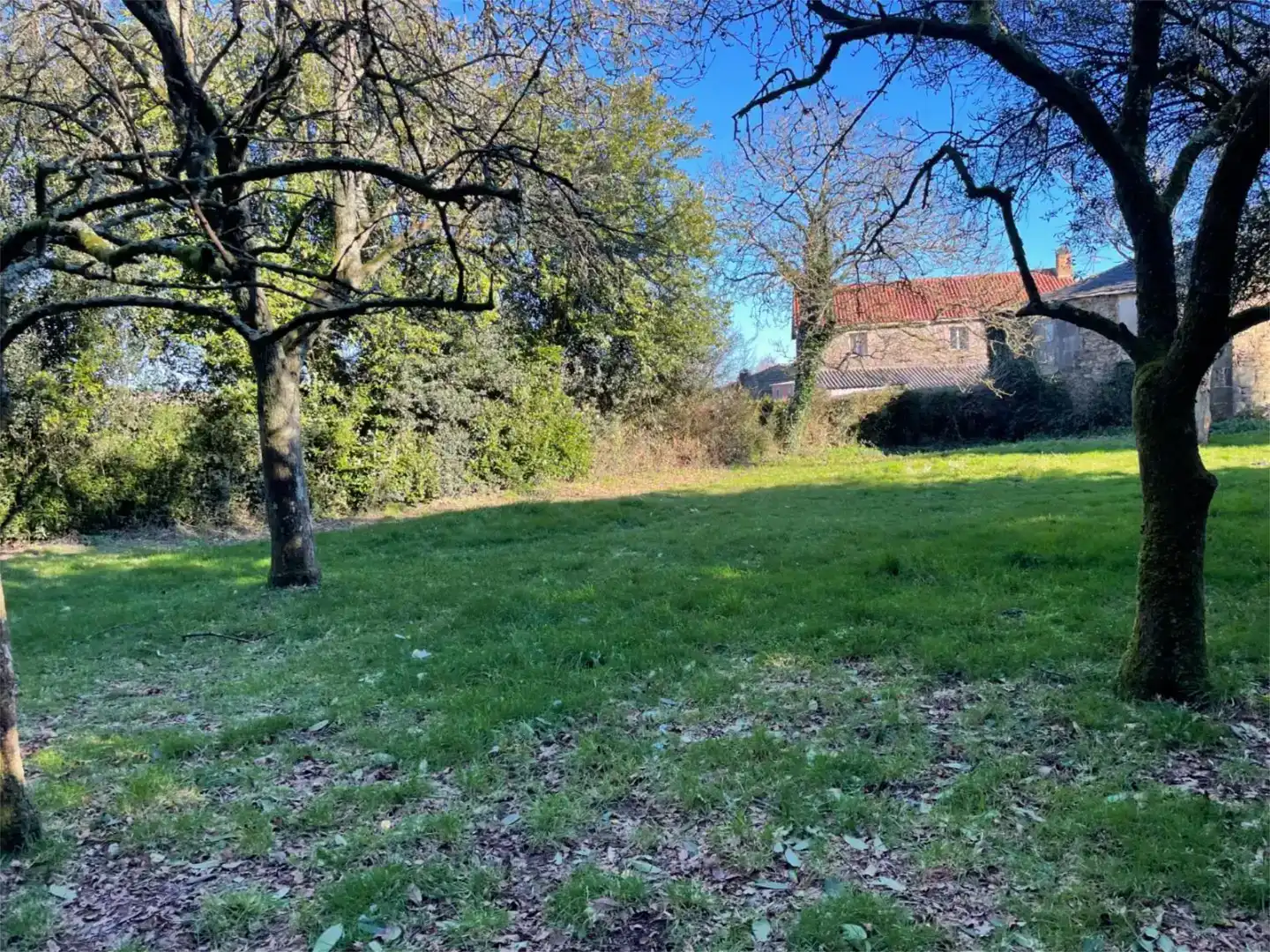 Casa o chalet en venta en Aranga