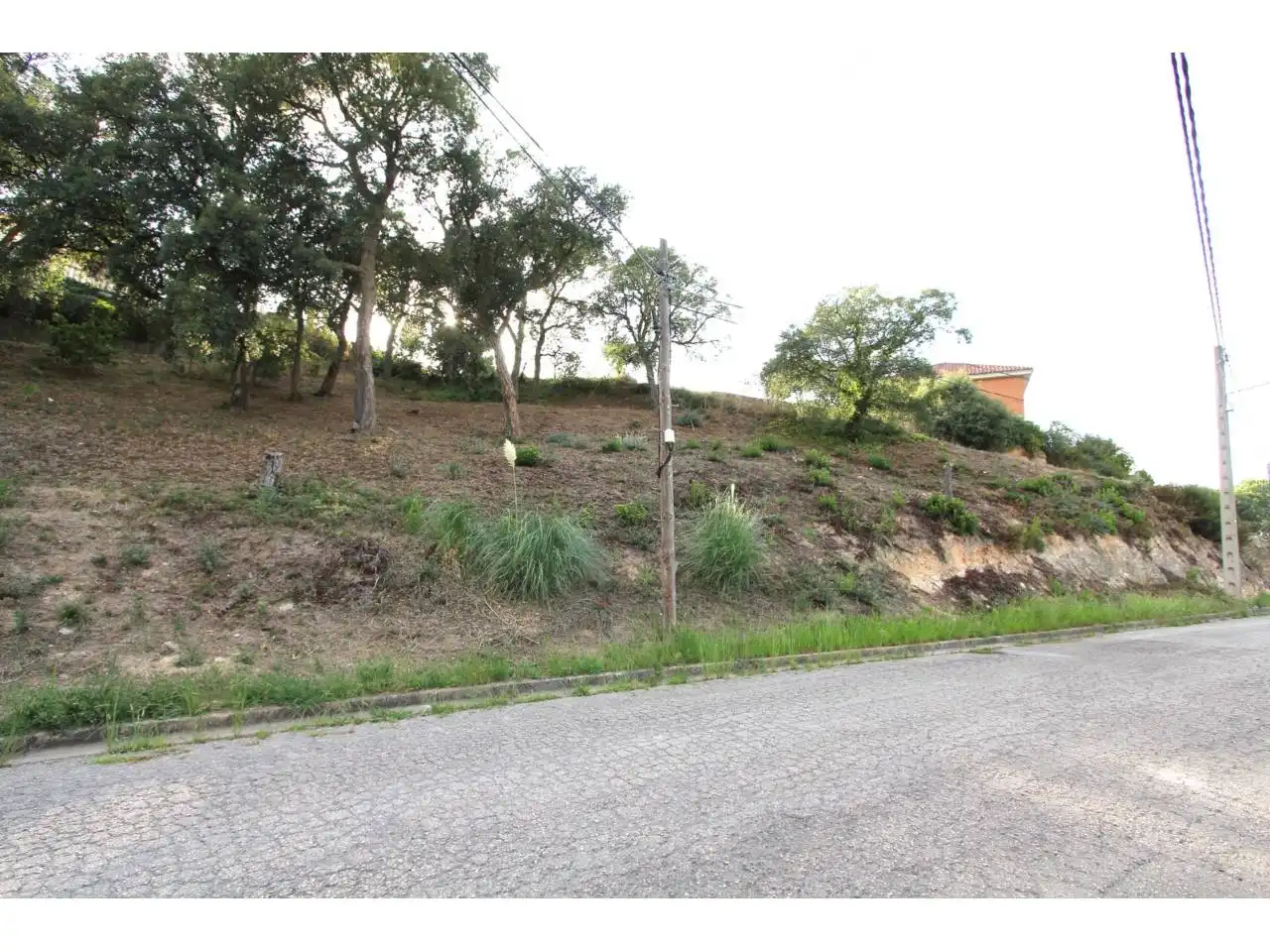 Terreno rustico in vendita a Calle Santa Marta 57, imagen 5