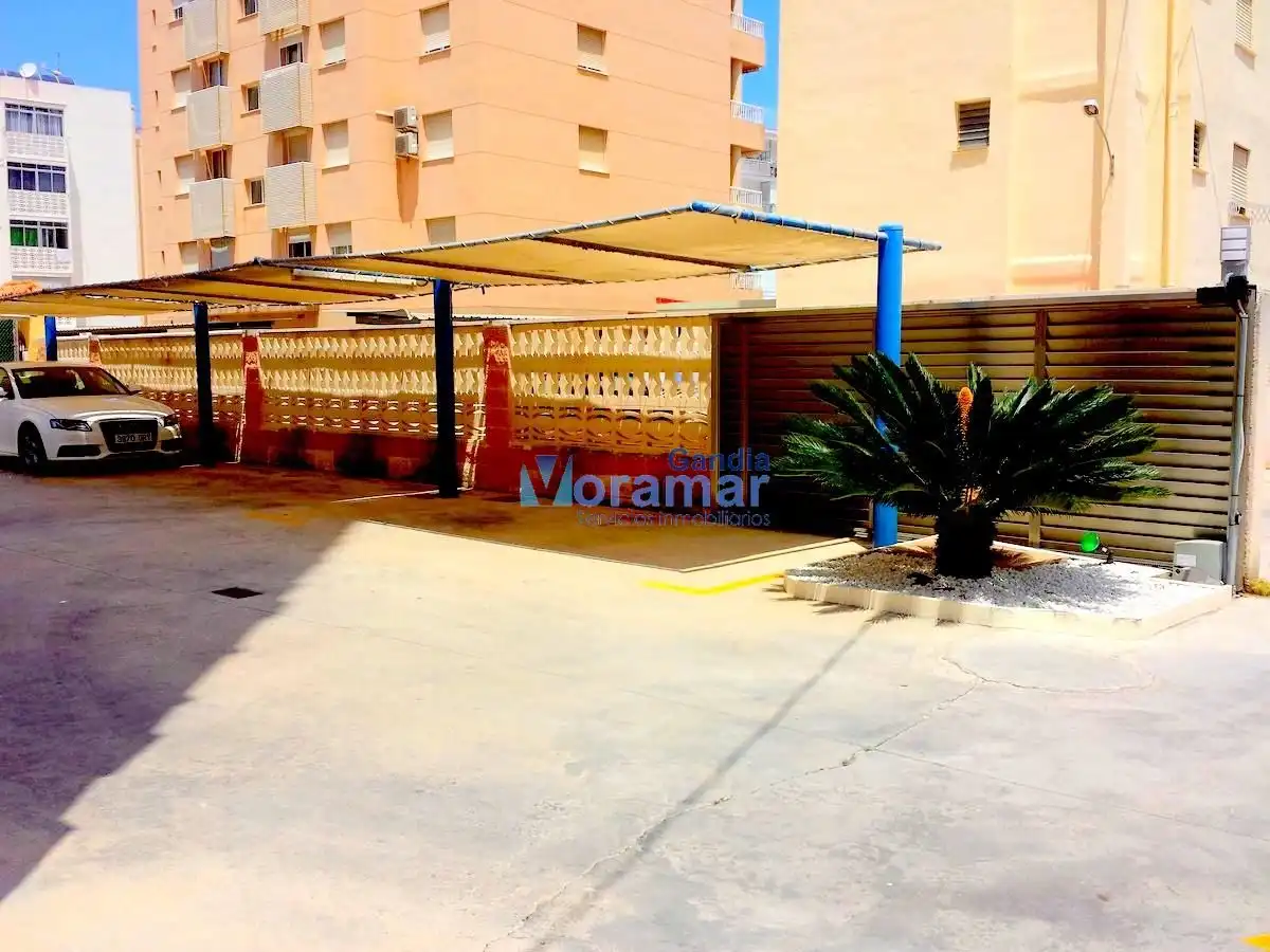 Apartament de lloguer a Atlántico, 12, Playa de Gandia