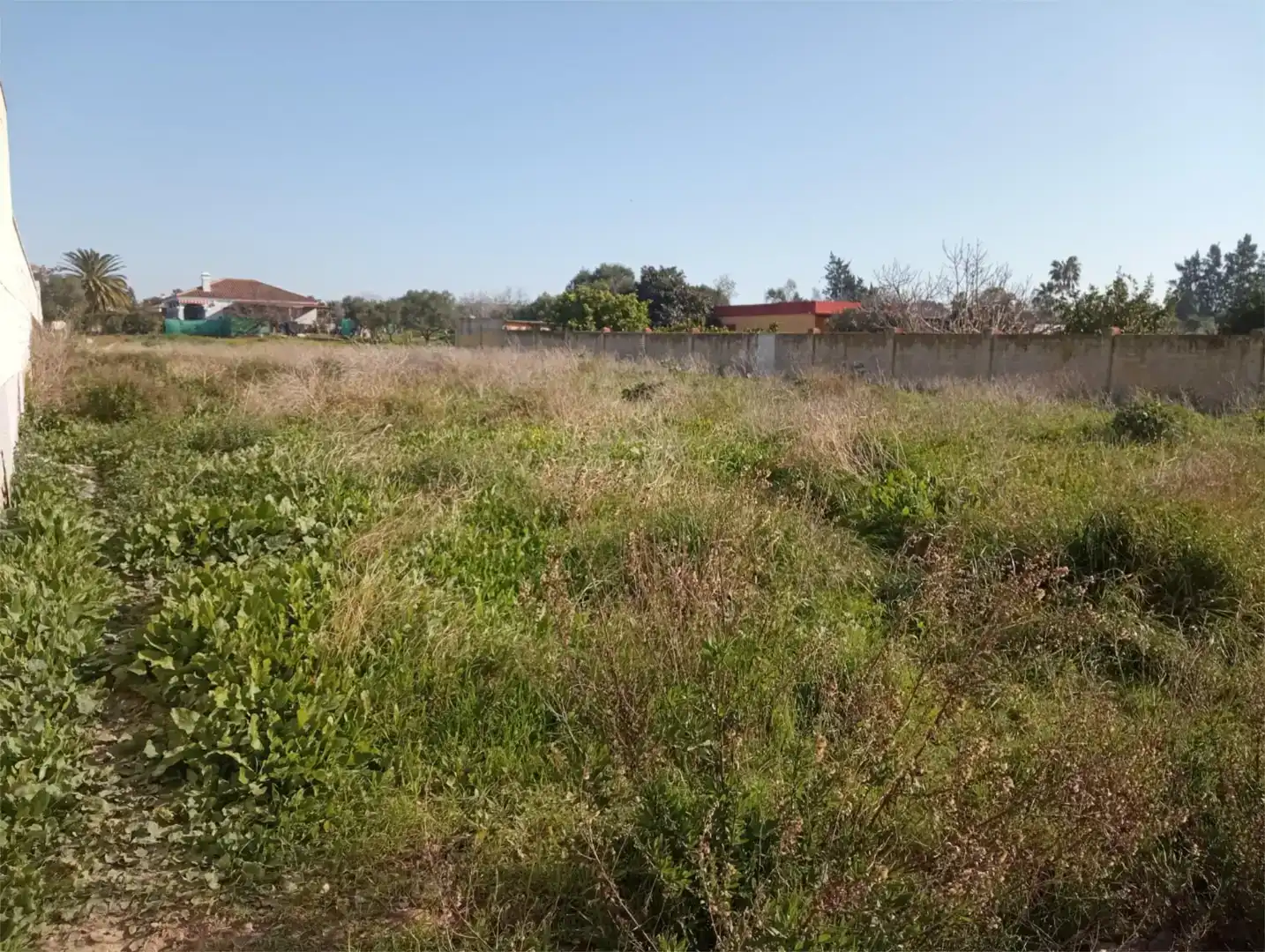 Finca rústica en venda en Sanlúcar de Barrameda