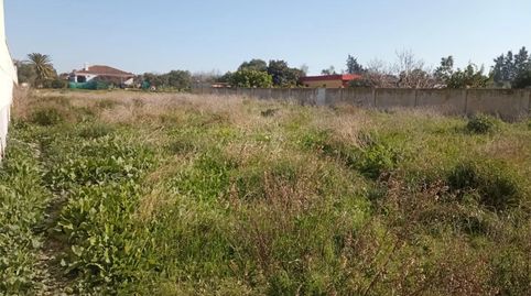 Foto 2 de Finca rústica en venda a Camino de Cabeza de la Vaca, 10, La Jara, Sanlúcar de Barrameda
