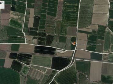 Terreno rustico in vendita a Torregrossa