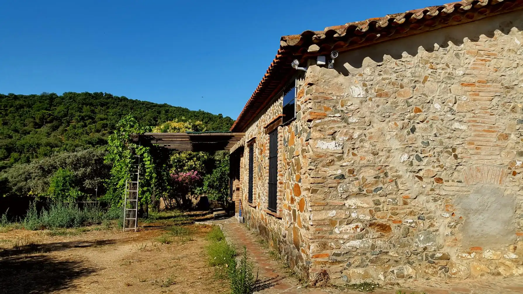 Terrenos y solares en venta en Extramuros Diseminados 5, imagen 29