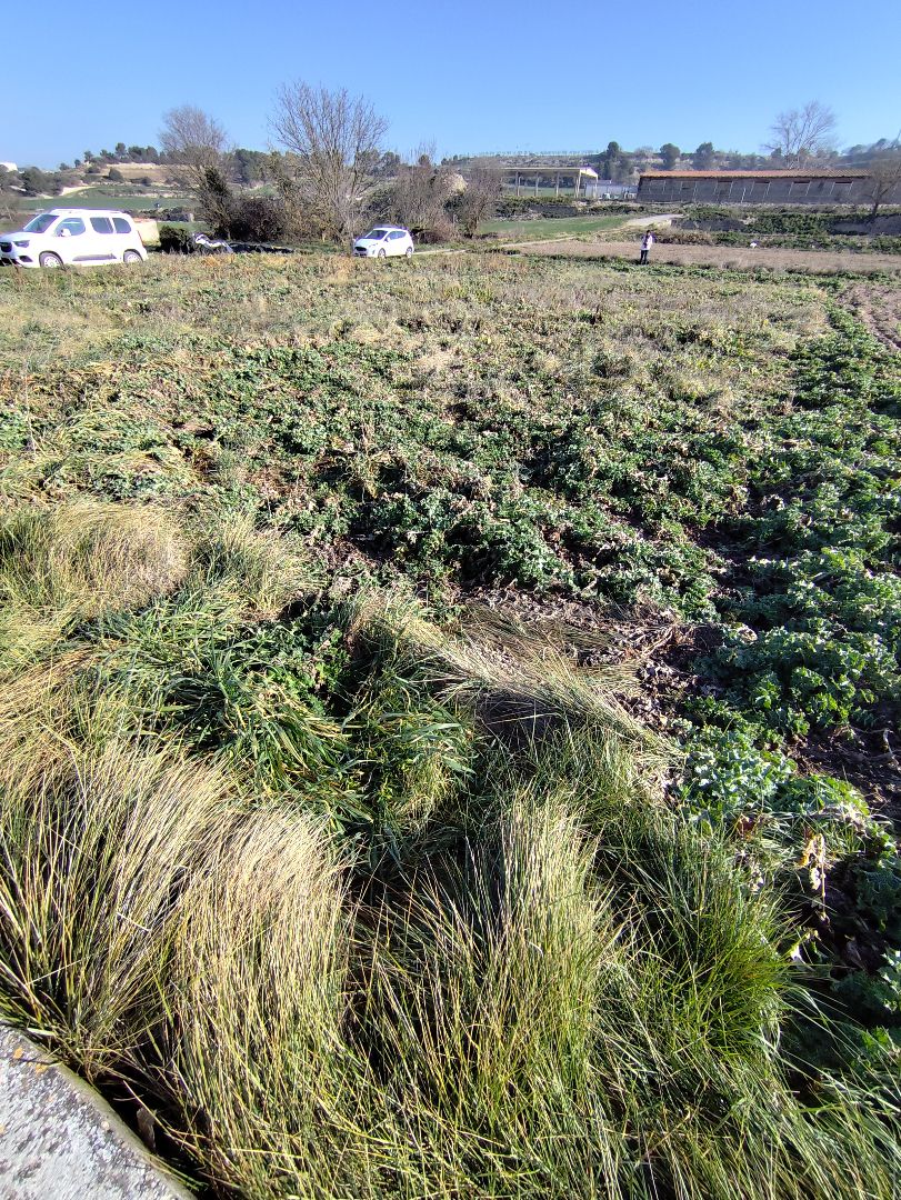 Land to rent in Talavera
