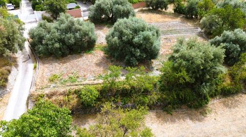 Foto 3 de Finca rústica en venda a Órgiva, Granada