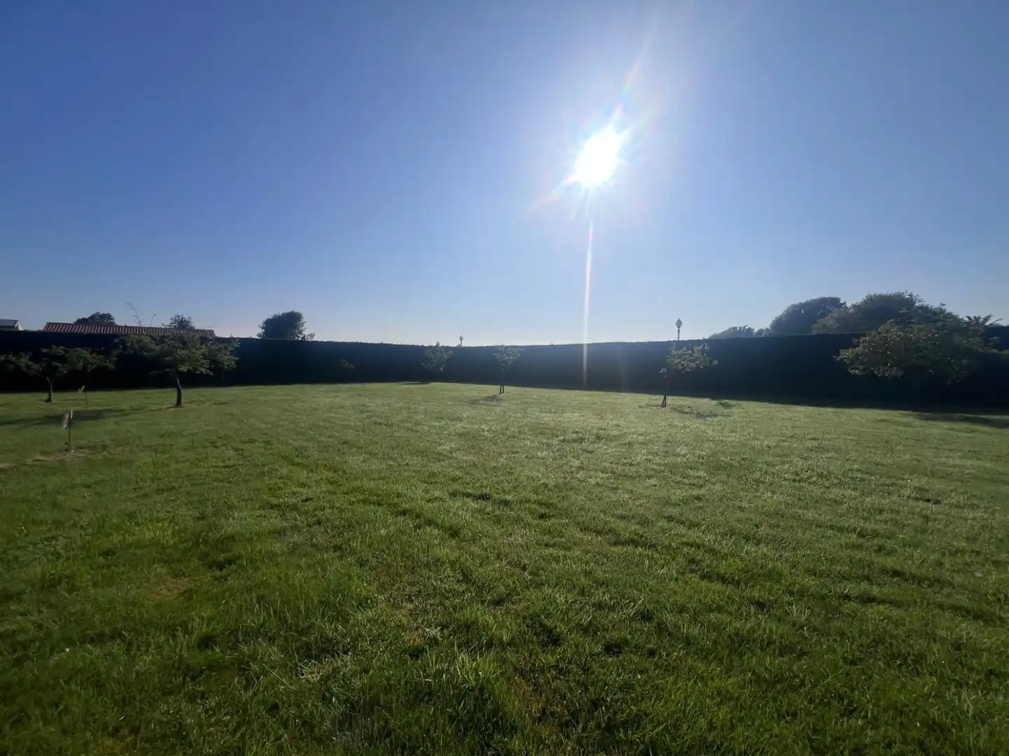 Residential land for sale in LG REBORIO 115, imagen 4