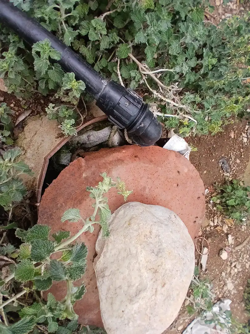 Terreni e lotti in vendita a Peñarroya de Tastavins, imagen 12
