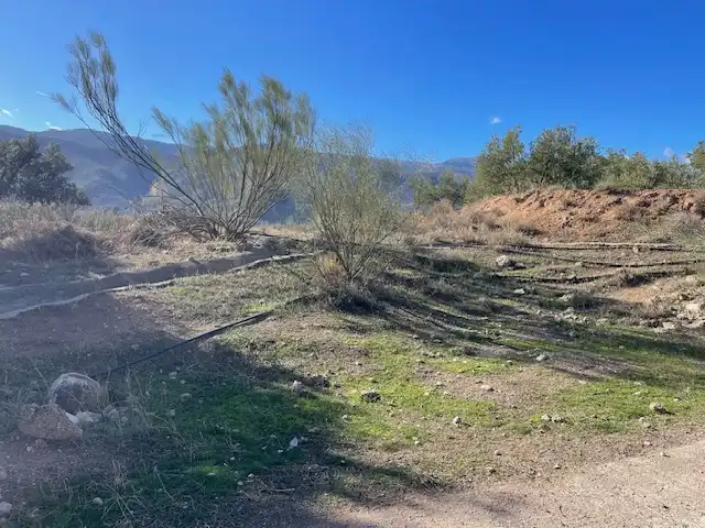 Casa o xalet en venda en Padules amb Jardí privat, Terrassa i Traster