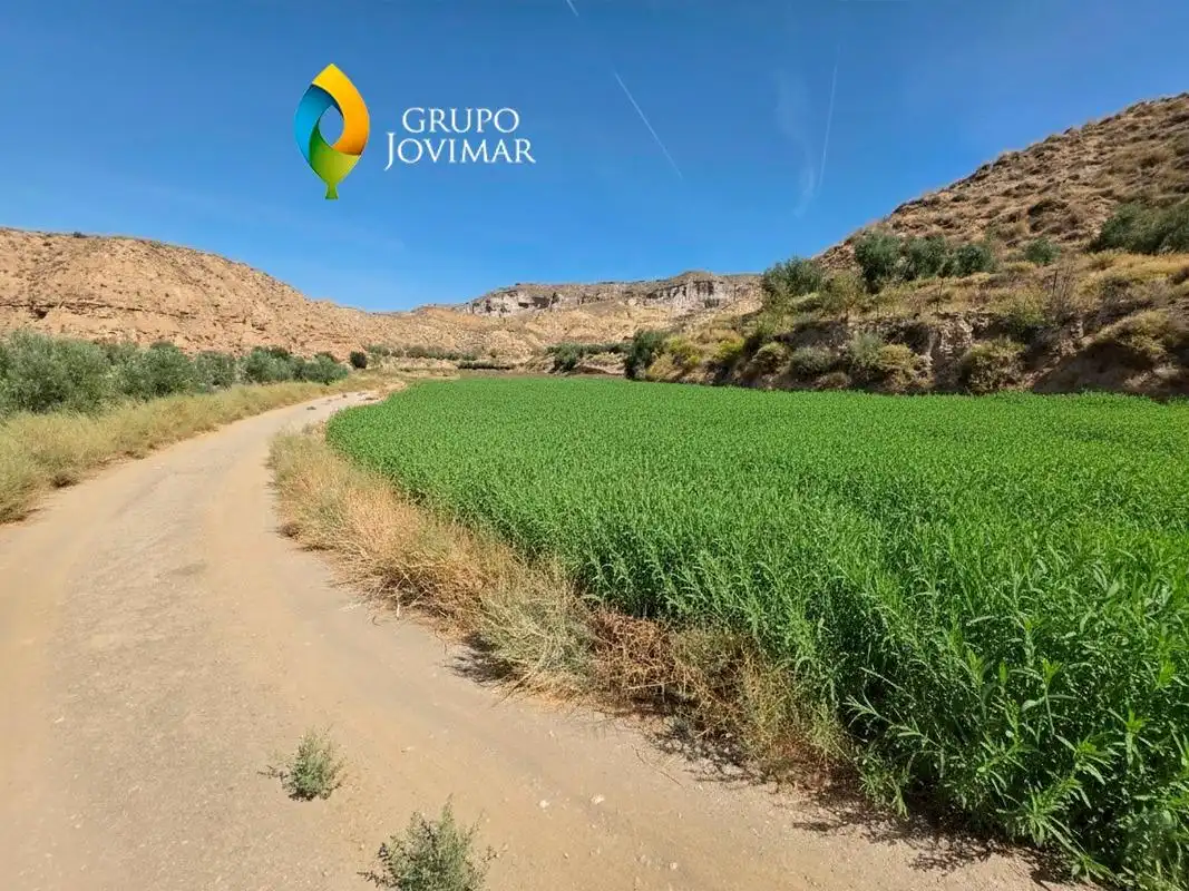 Terreno en venta en Gorafe