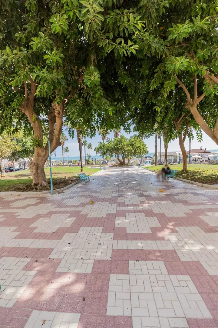 Apartament amb piscina en venda a Calle de Salvador Allende, imagen 50