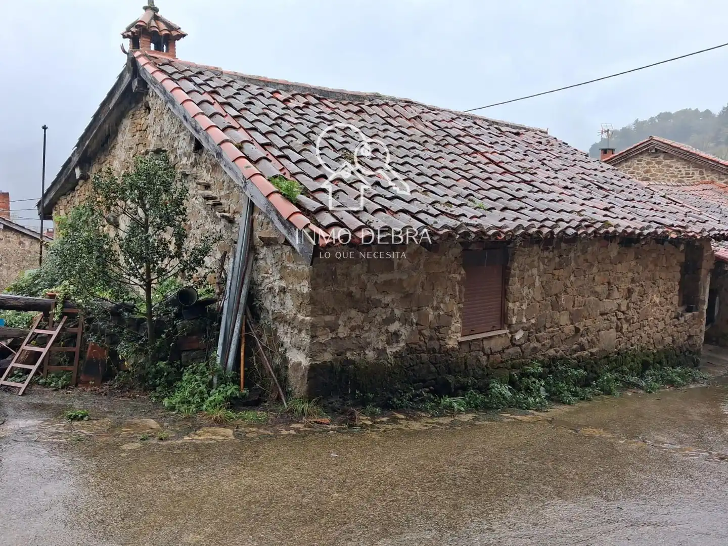 Exterior view of Houses for sale in Sobrescobio, Asturias
