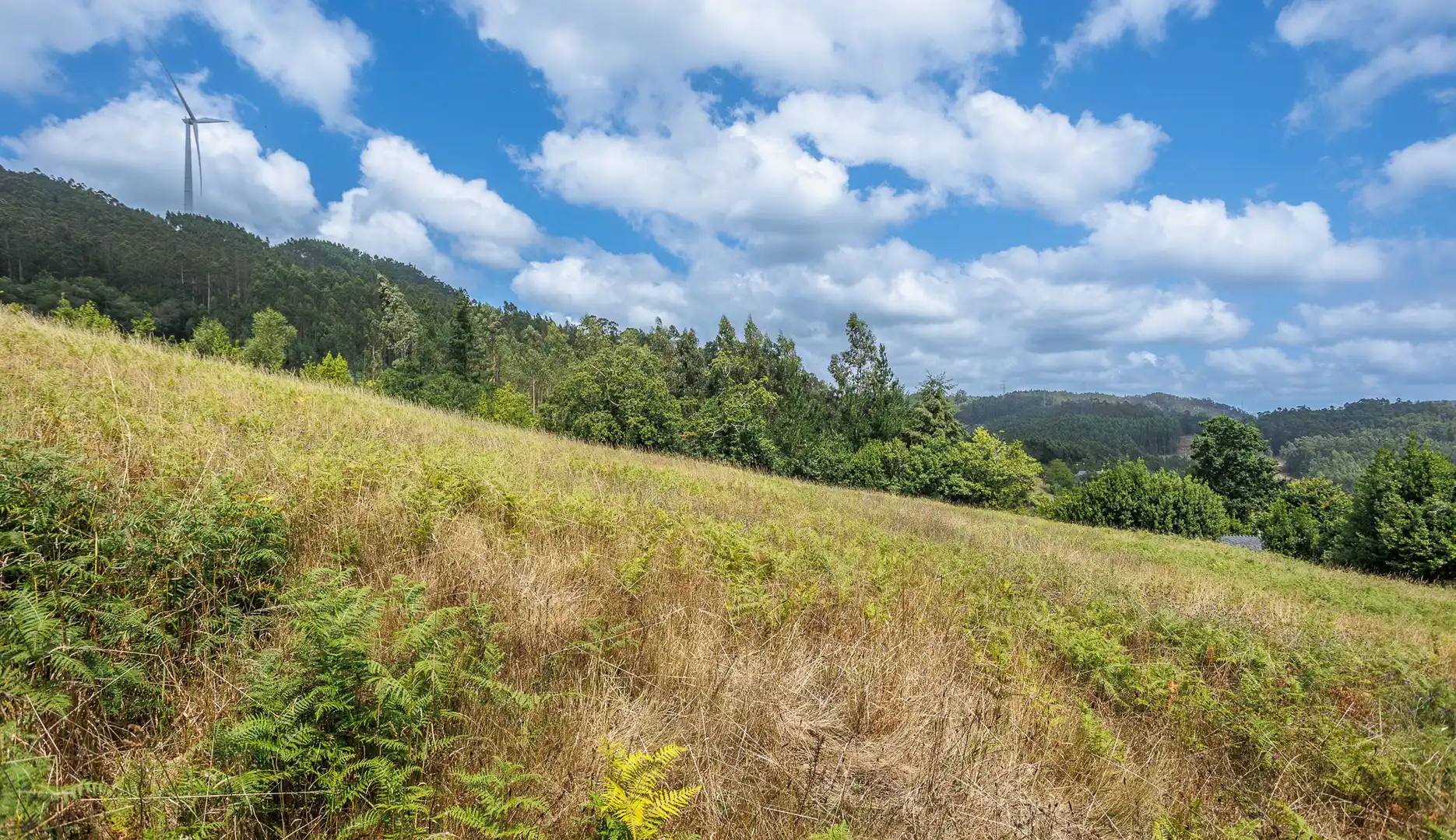 Finca rústica en venda en Ourol