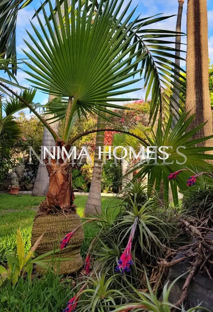 Maison avec jardin à vendre à Las Cuevas - Los Gómez, imagen 51