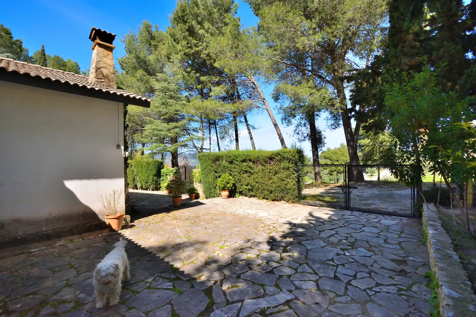 Jardín de Finca rústica en venta en Ronda con Jardín privado, Trastero y Piscina
