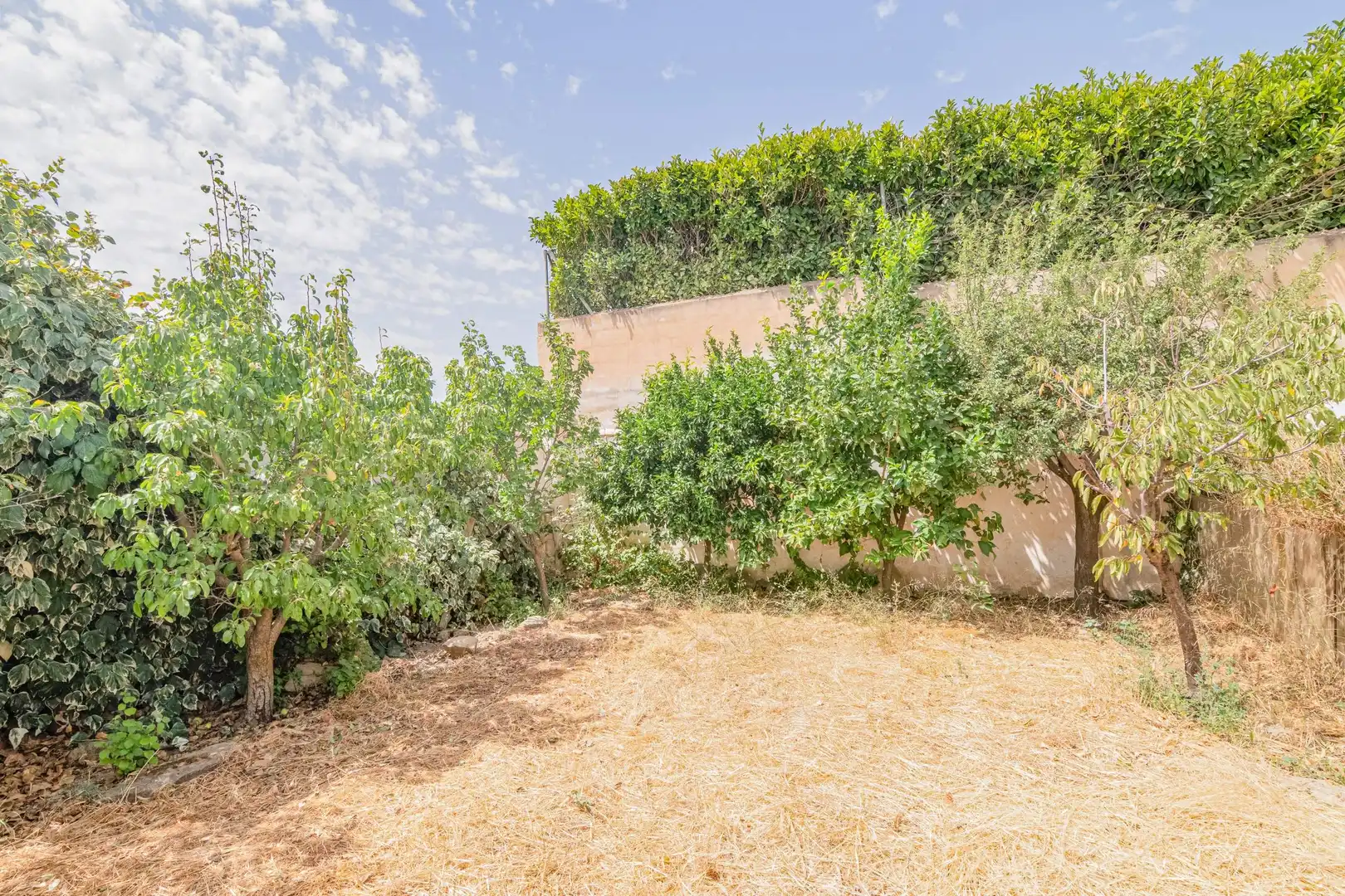 Jardín de Casa o chalet en venta en Alhendín con Calefacción, Jardín privado y Trastero