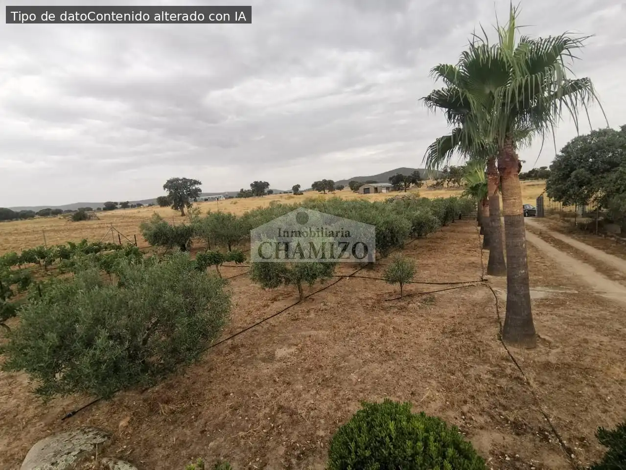 Casa o chalet en venta en Campanario con Jardín privado, Trastero y Piscina