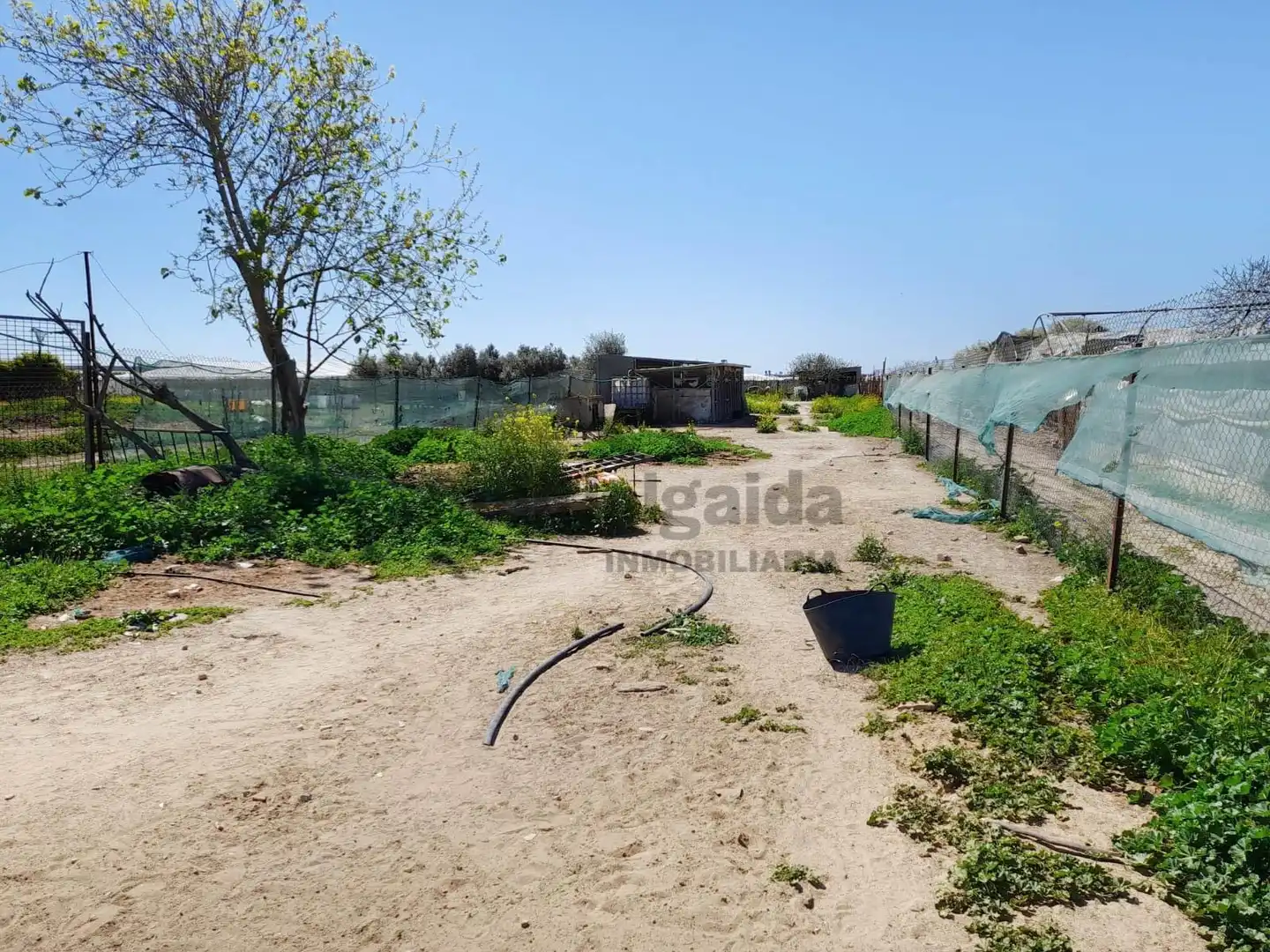 Casa rústica en venda a Chipiona Norte, imagen 8