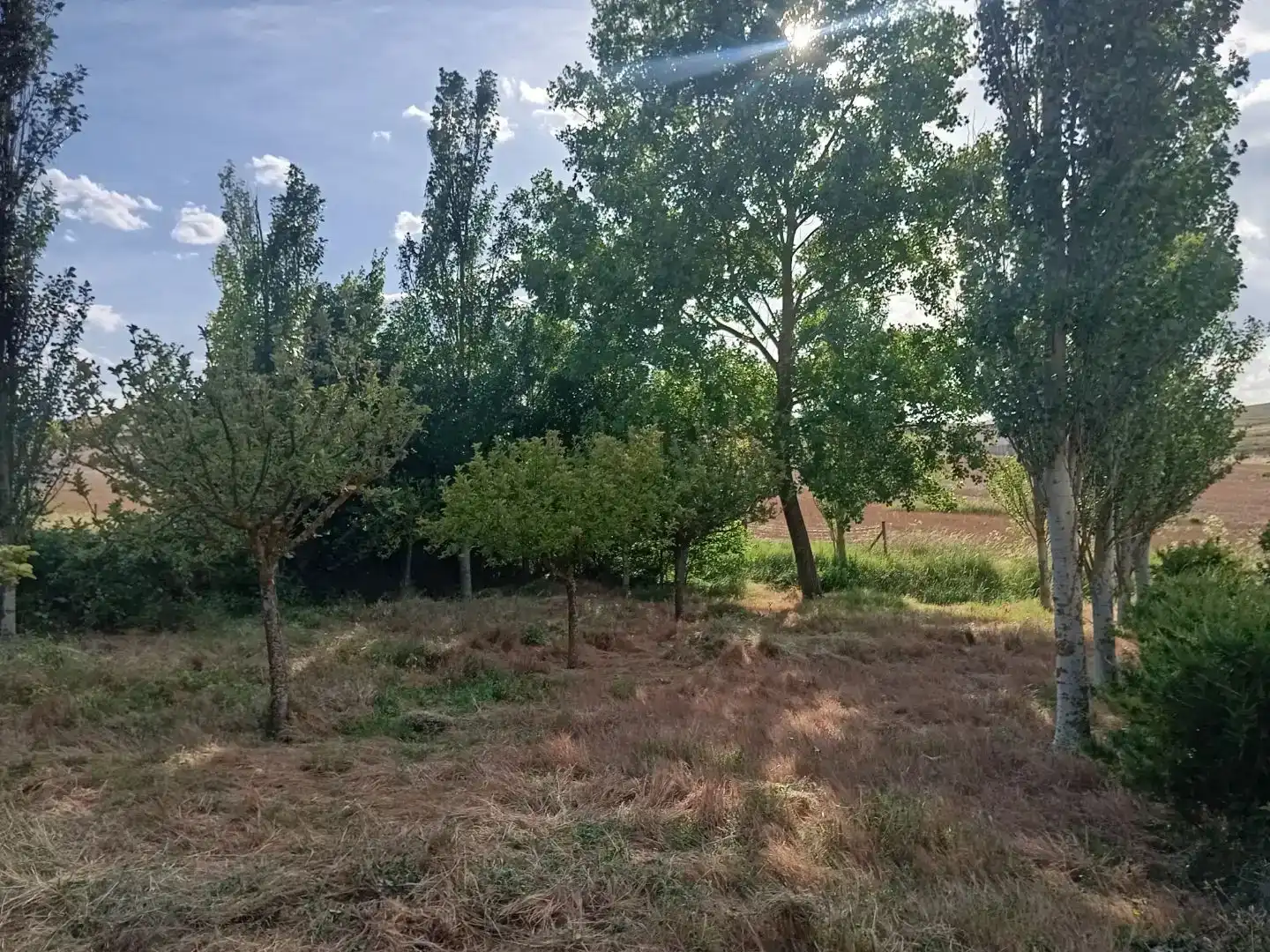 Casa adosada en venta en Arancón, Soria
