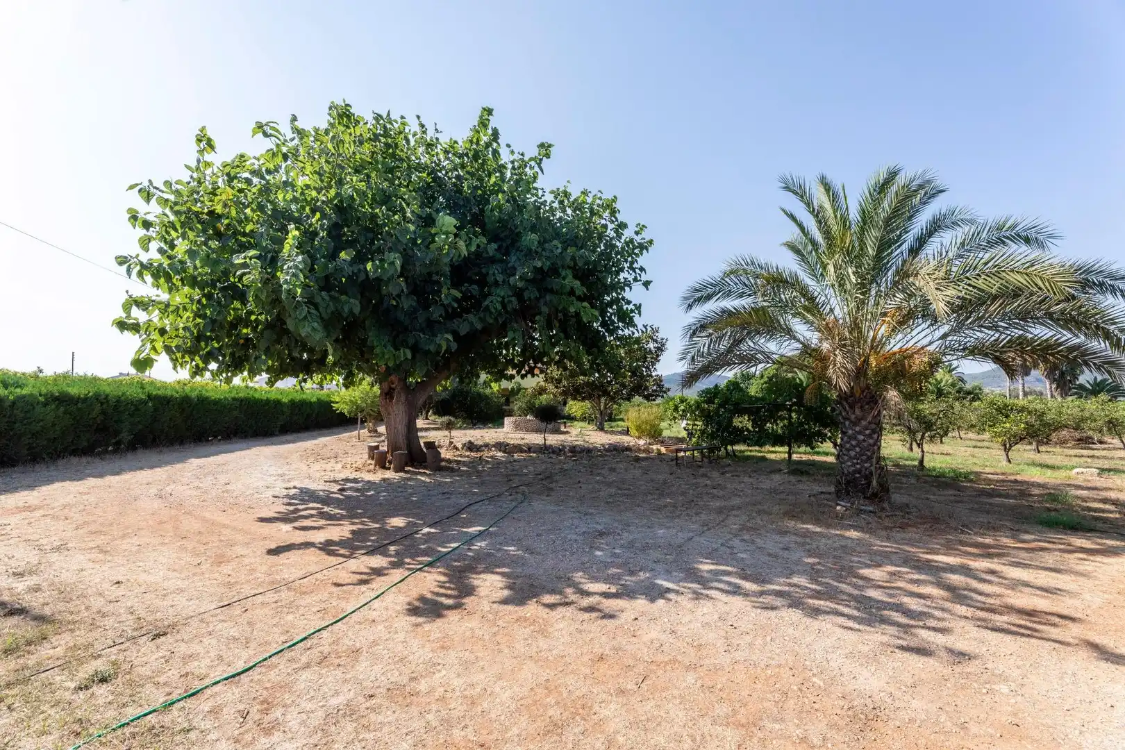Casa rustica con giardino in vendita a Alcanar, imagen 48