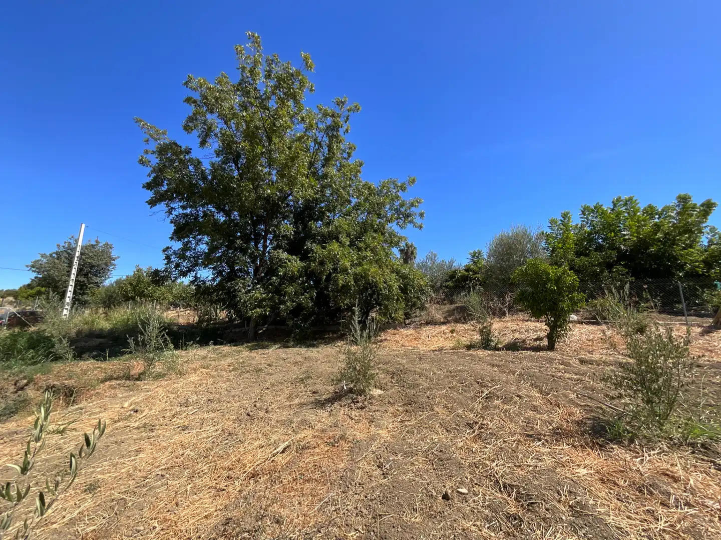 Finca rústica en venda en Coín