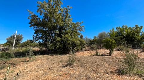 Photo 3 of Country house for sale in Calle las Calzadas, Coín, Málaga