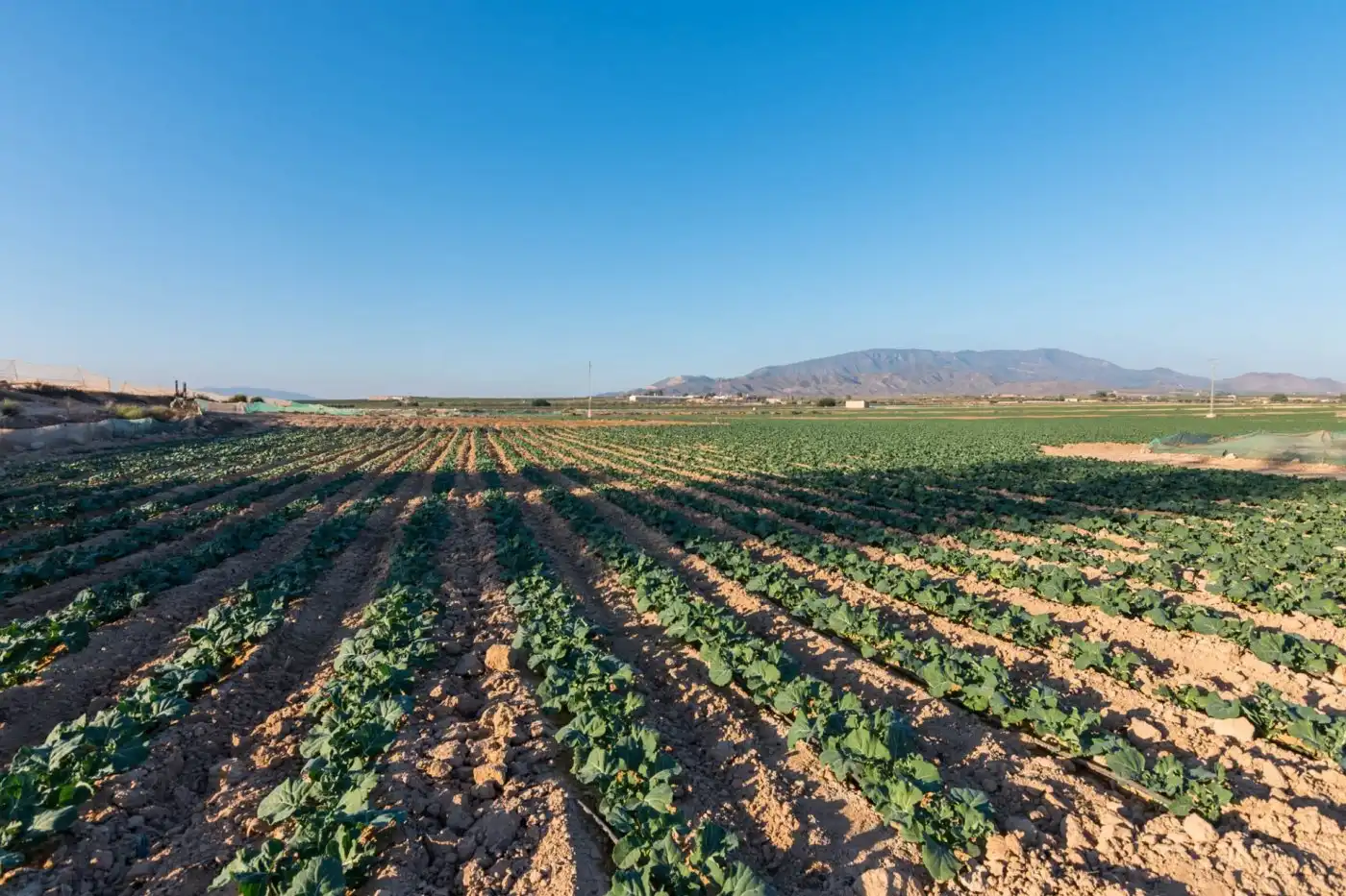 Finca rústica en venta en Alhama de Murcia