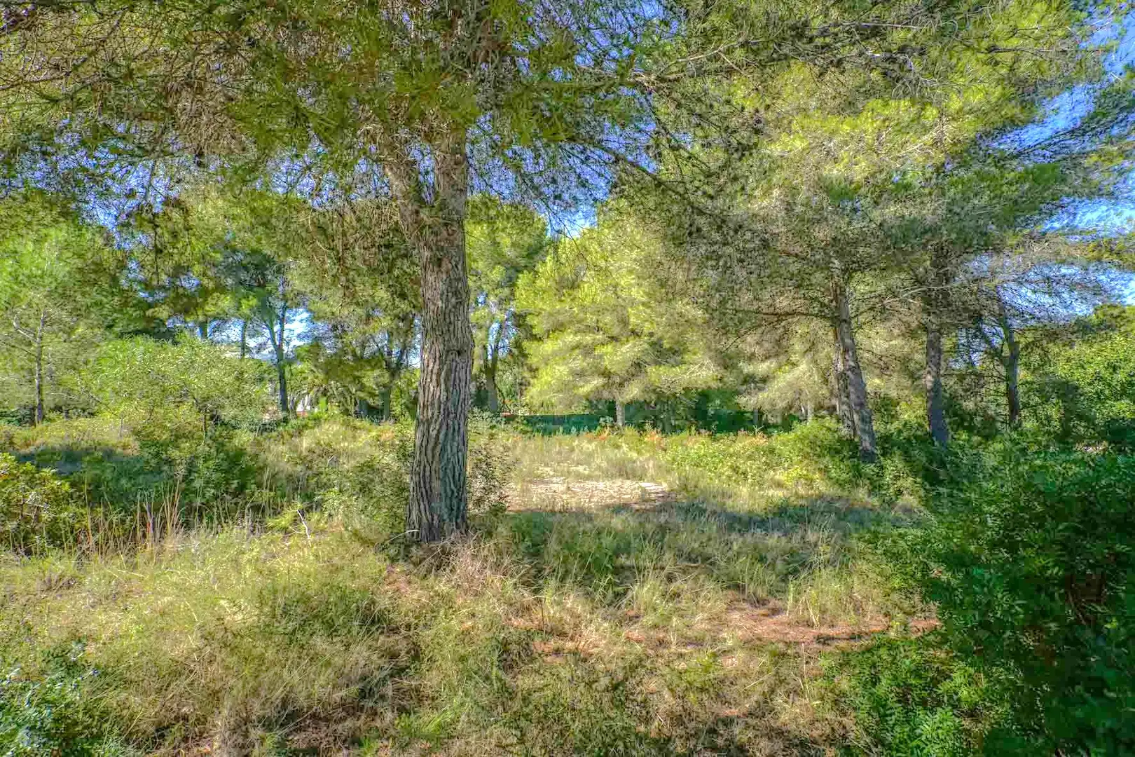 Residential land for sale in Centro ciudad, imagen 2