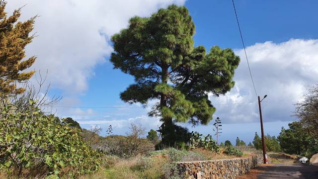Terreno residencial en Venta en La Hoya, 11 en El Pinar de El Hierro