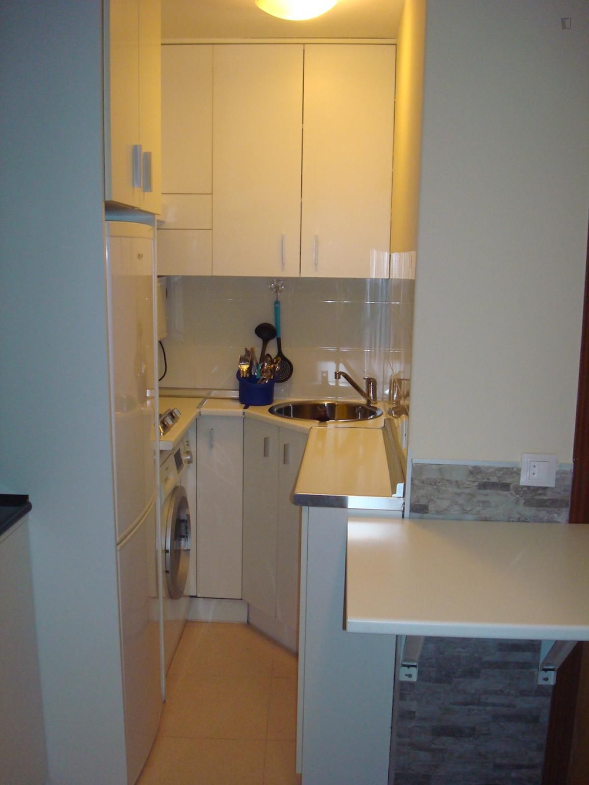 Cocina de Apartamento de alquiler en  Madrid Capital con Amueblado, Horno y Lavadora