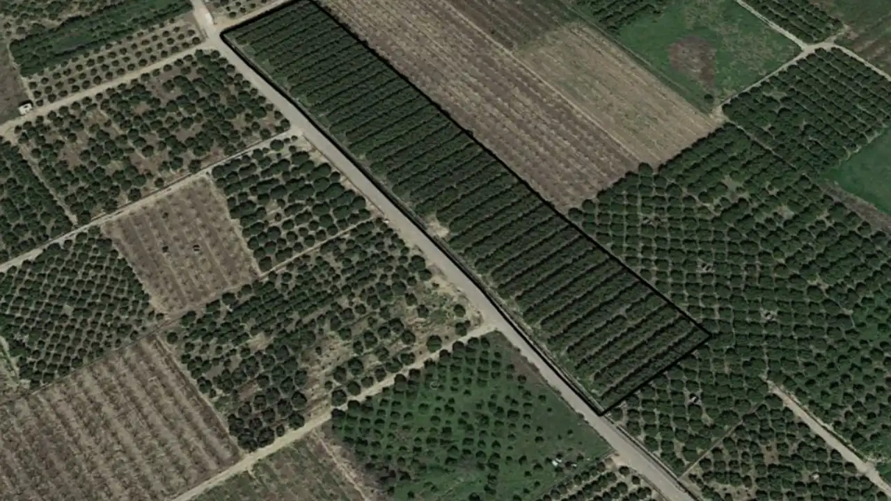 Terreno en venta en Benimuslem