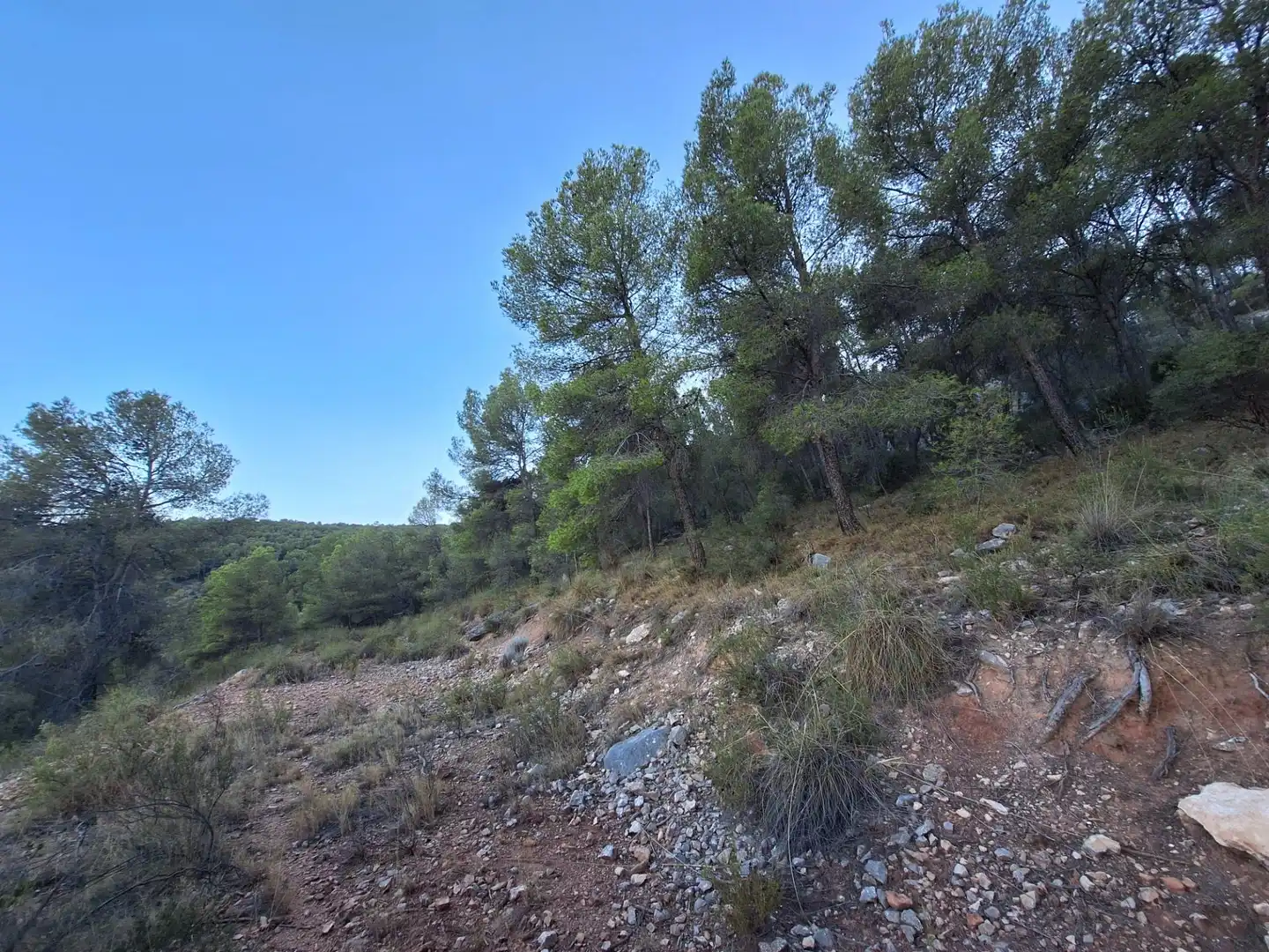 Rural land for sale in Castalla, imagen 16