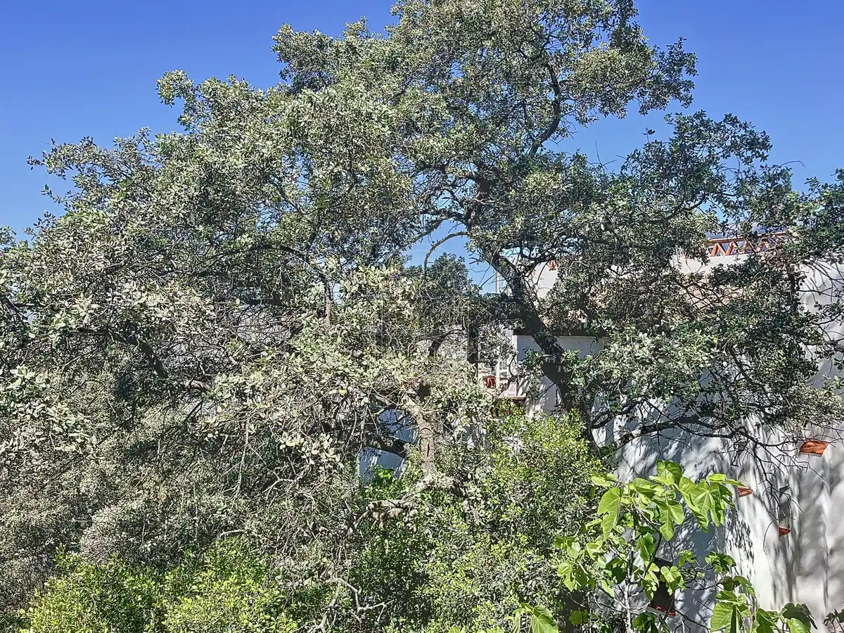 Finca rústica en venta en Comares con Aire acondicionado, Jardín privado y Terraza
