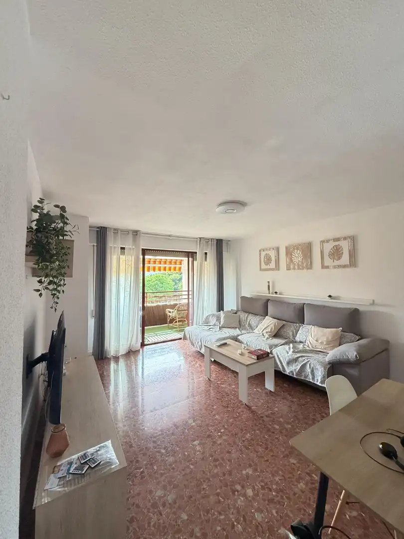 Sala d'estar de Pis en venda en Alicante / Alacant amb Jardí privat, Terrassa i Traster