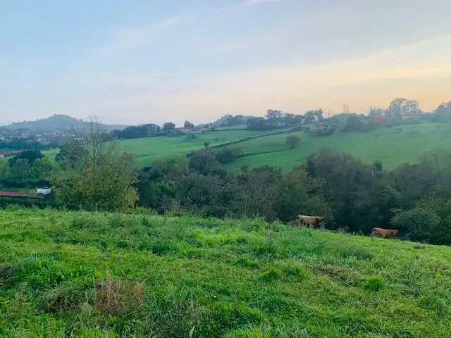 Terrenys i solars en venda a Rural, imagen 8