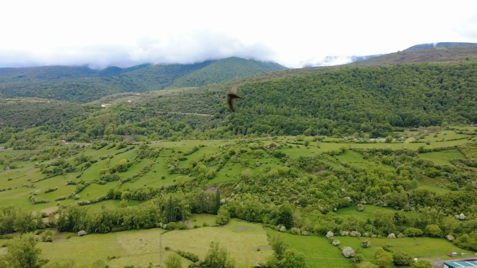 Terreni e lotti in vendita a Hermandad de Campoo de Suso, imagen 5