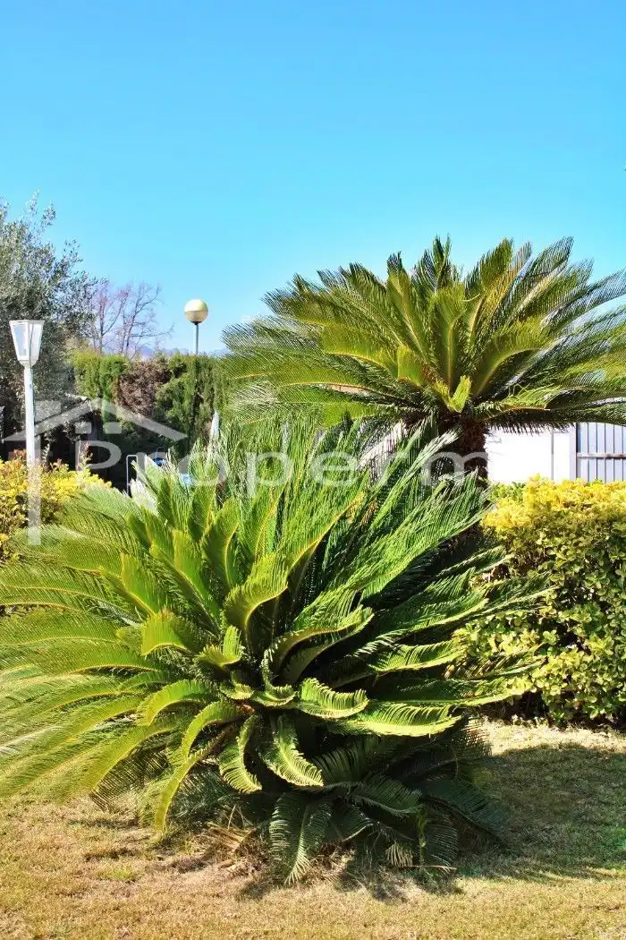 Maison avec piscine à vendre à Bigues i Riells del Fai, imagen 18