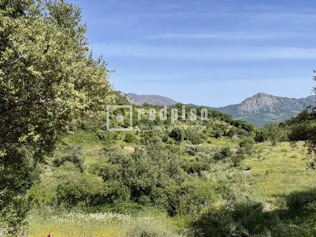 Residential for sale in Gaucín