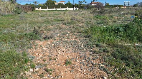 Foto 5 de Residencial en venta en Los Girasoles, San Vicente del Raspeig / Sant Vicent del Raspeig