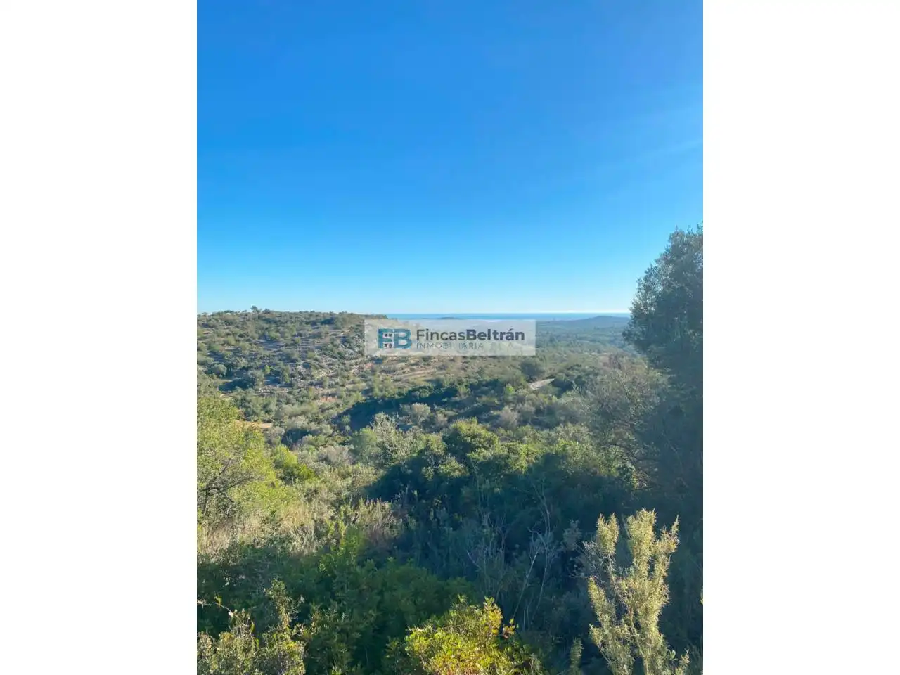 Rural land for sale in Poligono 36, parcela 240