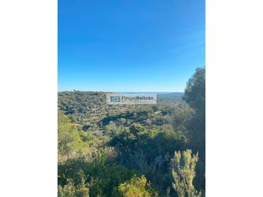 Rural land for sale in Poligono 36, parcela 240