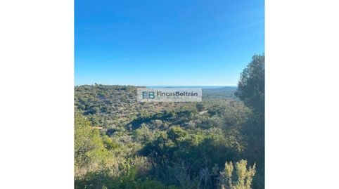 Finca rustica con pozo propio y magníficas vistas al mar