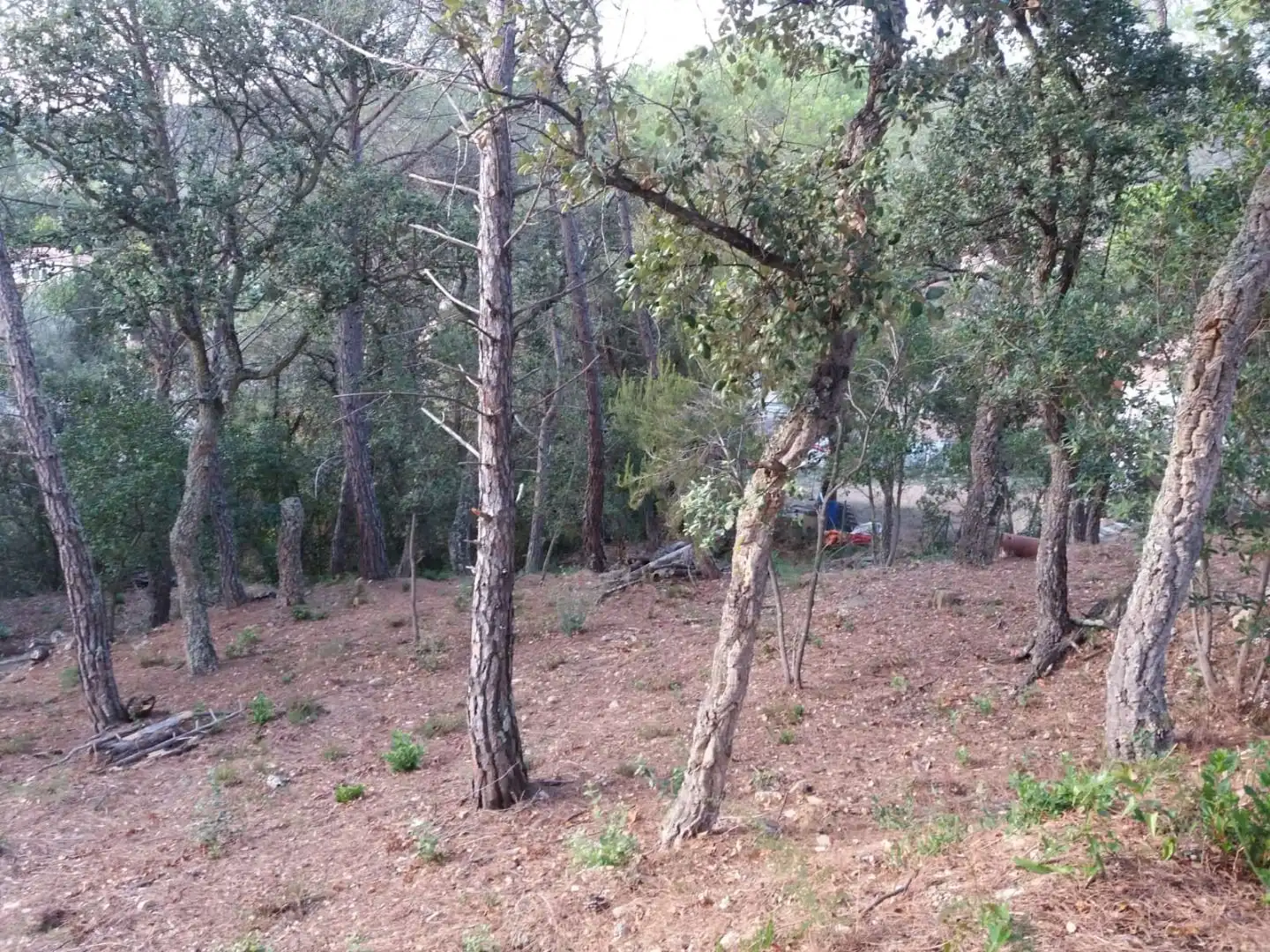 Terreno residencial en venta en Avinguda del Bell-lloc, imagen 12