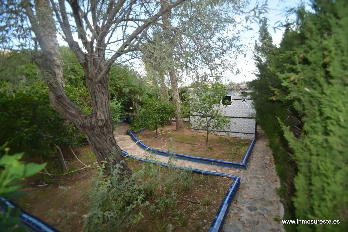 Xalet amb jardí en venda a Los Balcones - Los Altos, imagen 8