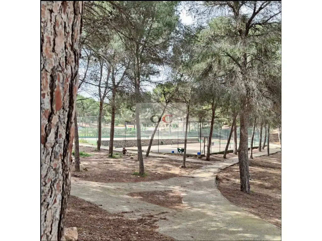 Jardí de Local de lloguer en Murcia