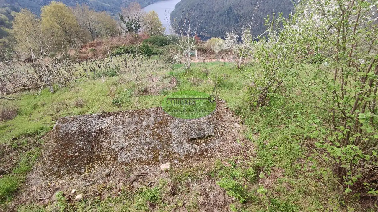 Casa amb jardí en venda a Pantón, imagen 22