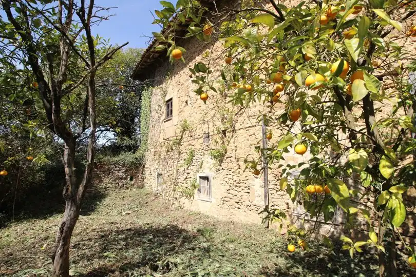 Garden of Houses for sale in Salas  with Furnished